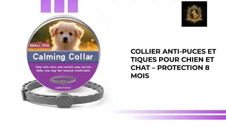 Collier anti-puces et tiques pour chien et chat &ndash; Protection 8 mois by@Outfy