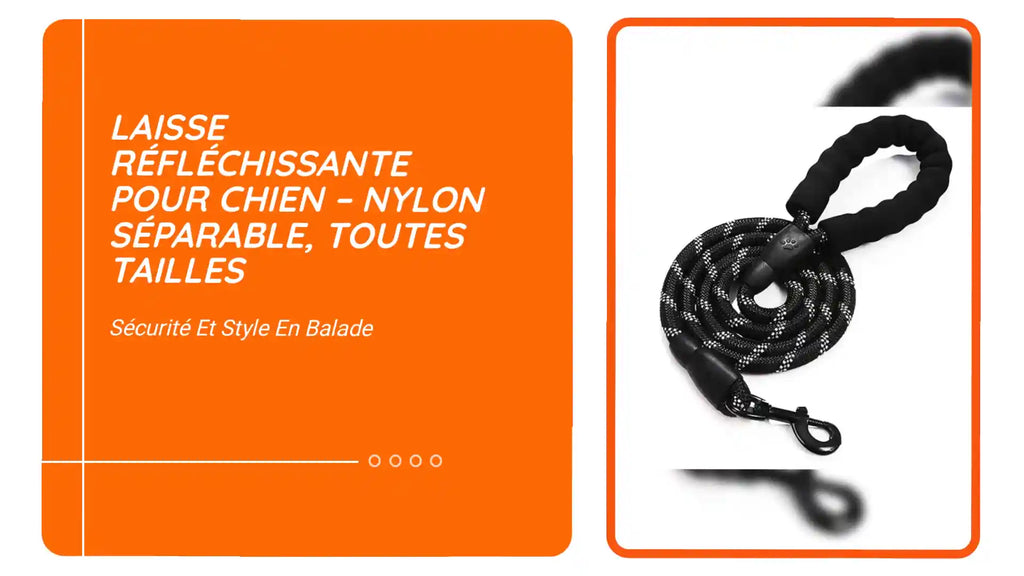 Laisse R&eacute;fl&eacute;chissante pour Chien &ndash; Nylon S&eacute;parable, Toutes Tailles by@Outfy