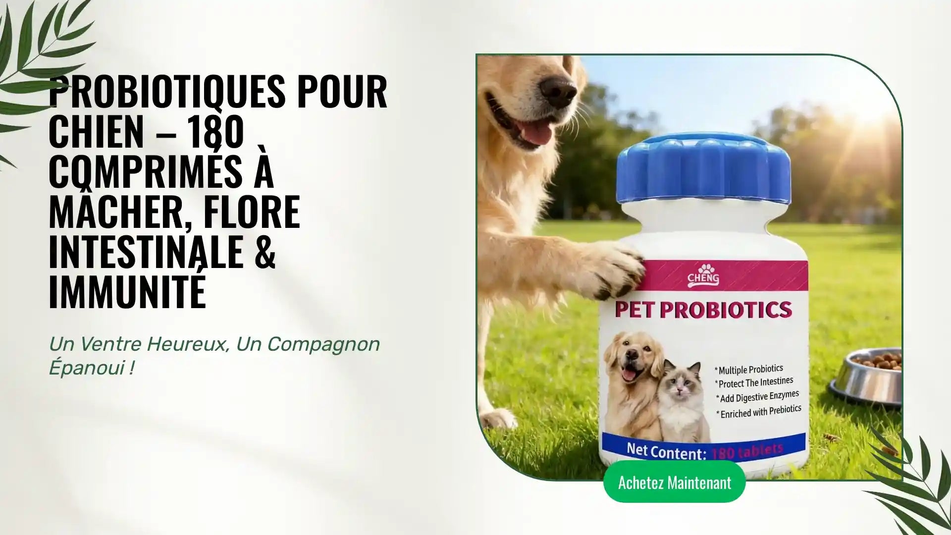 Probiotiques pour Chien &ndash; 180 Comprim&eacute;s &agrave; M&acirc;cher, Flore Intestinale &amp; Immunit&eacute; by@Outfy