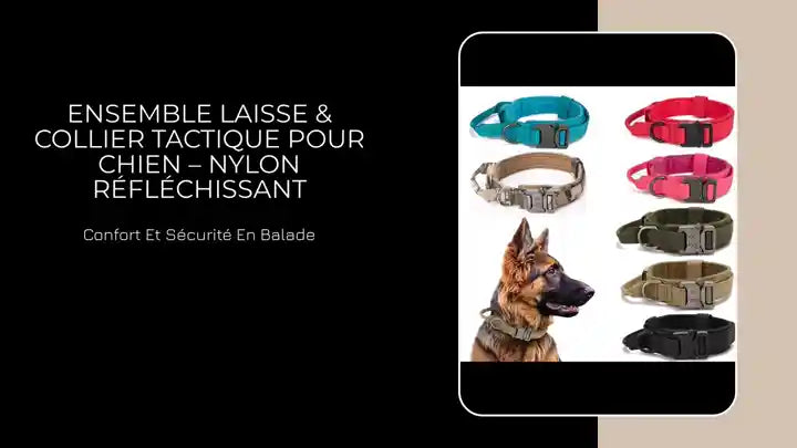 Ensemble Laisse &amp; Collier Tactique pour Chien &ndash; Nylon R&eacute;fl&eacute;chissant by@Outfy