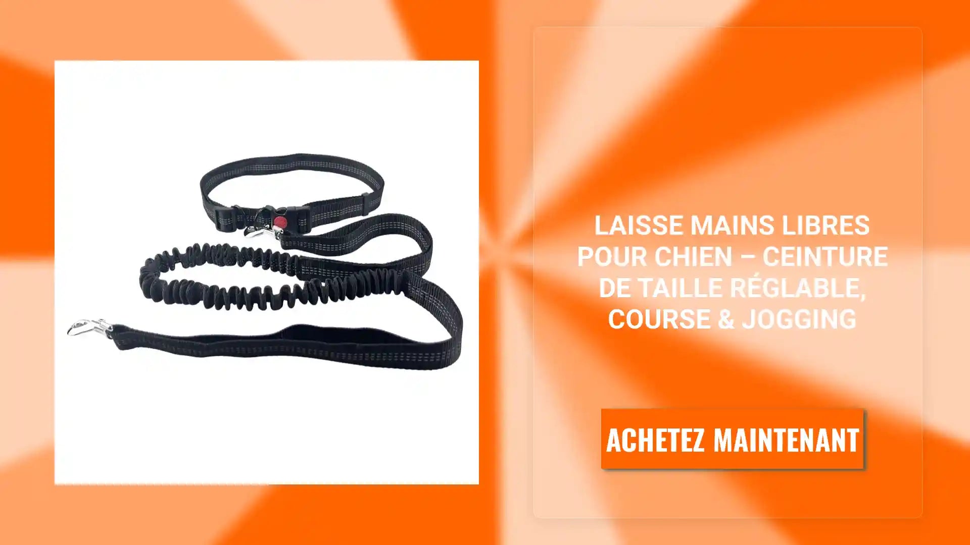 Laisse Mains Libres pour Chien &ndash; Ceinture de Taille R&eacute;glable, Course & Jogging by@Outfy