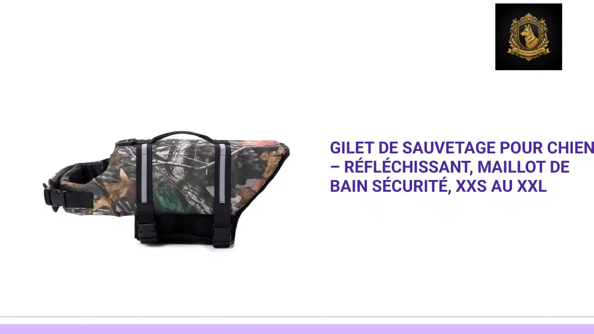 Gilet de Sauvetage pour Chien &ndash; R&eacute;fl&eacute;chissant, Maillot de Bain S&eacute;curit&eacute;, XXS au XXL by@Outfy