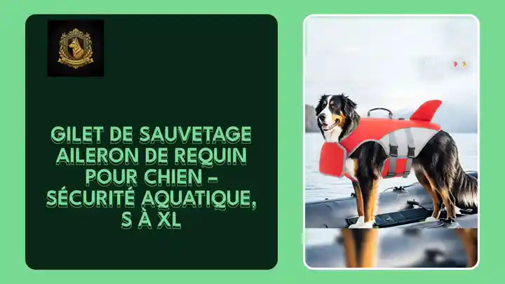 Gilet de Sauvetage Aileron de Requin pour Chien &ndash; S&eacute;curit&eacute; Aquatique, S &agrave; XL by@Outfy